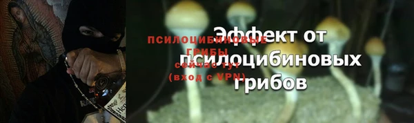 прущая мука Кинешма