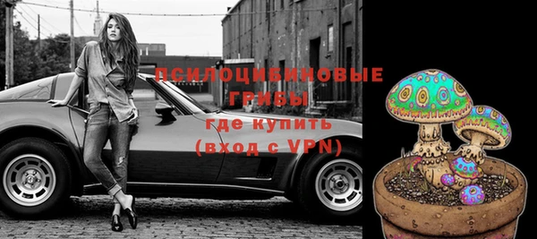 прущая мука Кинешма