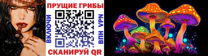 Купить где  Дыгулыбгей  Псилоцибиновые грибы GOLDEN TEACHER